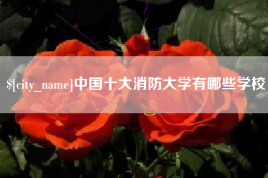 临沧中国十大消防大学有哪些学校