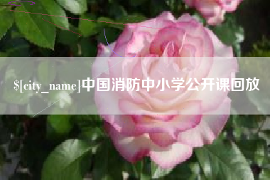 临沧中国消防中小学公开课回放