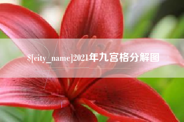 临沧2021年九宫格分解图