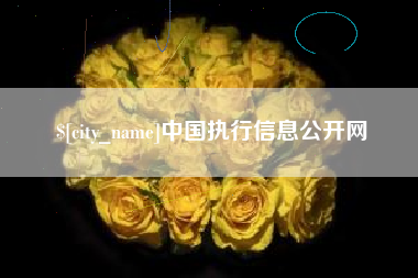 临沧中国执行信息公开网