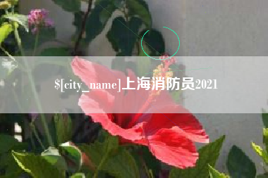 临沧上海消防员2021