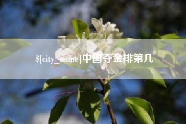 临沧中国夺金排第几