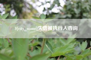 临沧失信被执行人杳询