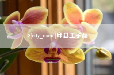 临沧邱县王子磊