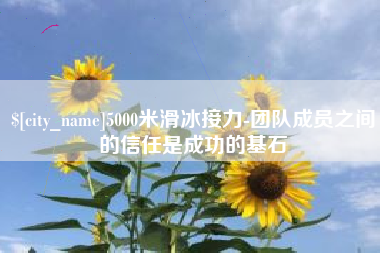 临沧5000米滑冰接力-团队成员之间的信任是成功的基石