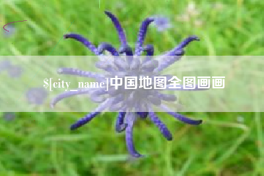 临沧中国地图全图画画