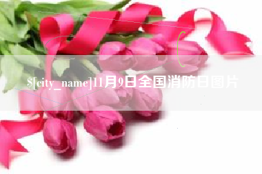 临沧11月9日全国消防日图片