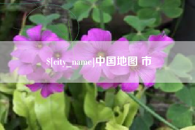 临沧中国地图 市