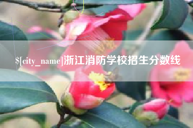 临沧浙江消防学校招生分数线