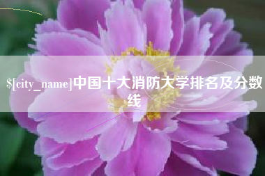 临沧中国十大消防大学排名及分数线