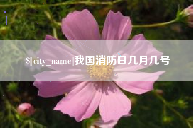 临沧我国消防日几月几号