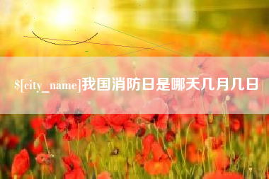 临沧我国消防日是哪天几月几日