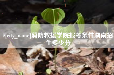 临沧消防救援学院报考条件湖南招生多少分