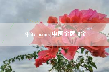临沧中国金牌18金