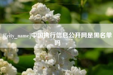 临沧中国执行信息公开网是黑名单吗