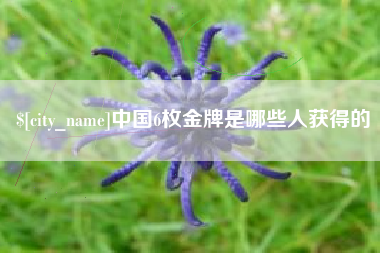 临沧中国6枚金牌是哪些人获得的