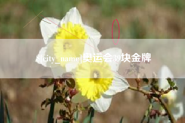 临沧奥运会39块金牌