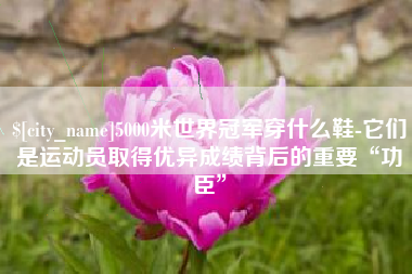 临沧5000米世界冠军穿什么鞋-它们是运动员取得优异成绩背后的重要“功臣”