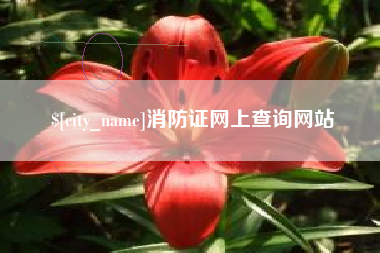 临沧消防证网上查询网站