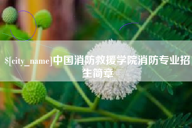 临沧中国消防救援学院消防专业招生简章