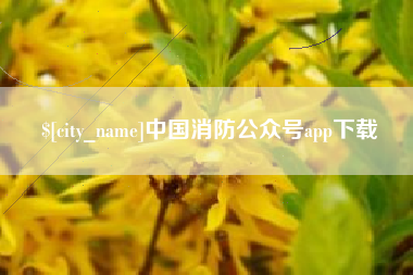 临沧中国消防公众号app下载