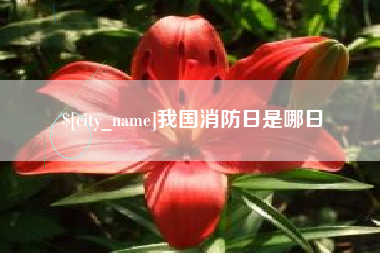 临沧我国消防日是哪日