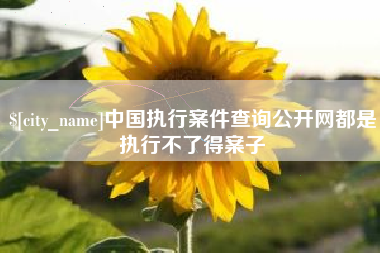 临沧中国执行案件查询公开网都是执行不了得案子