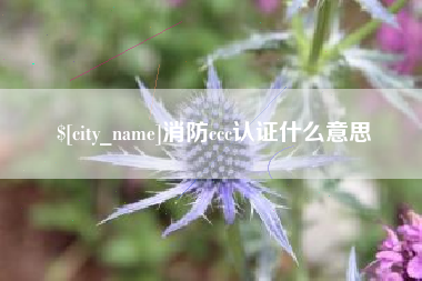 临沧消防ccc认证什么意思