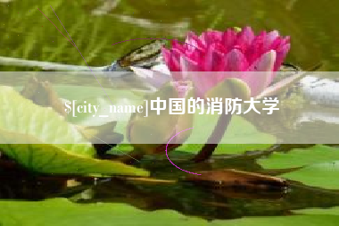 临沧中国的消防大学