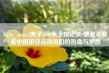 临沧男子5000米全国记录-更是承载着中国田径运动员们的热血与梦想