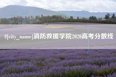 临沧消防救援学院2020高考分数线