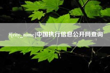 临沧中国执行信息公开网查询
