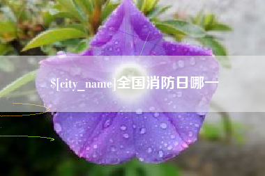临沧全国消防日哪一