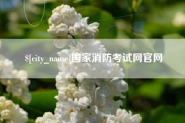 临沧国家消防考试网官网