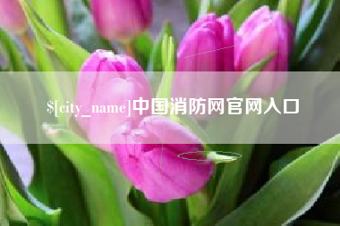 临沧中国消防网官网入口