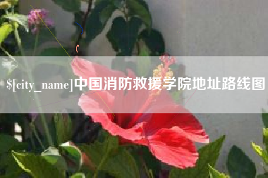 临沧中国消防救援学院地址路线图