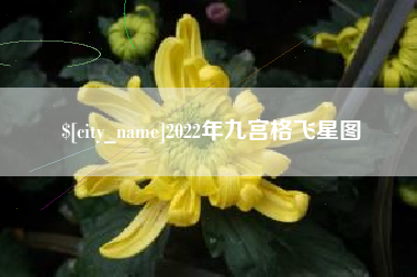 临沧2022年九宫格飞星图