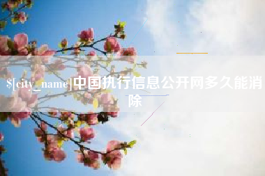 临沧中国执行信息公开网多久能消除