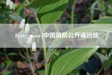 临沧中国消防公开课回放
