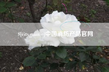 临沧中国消防产品官网