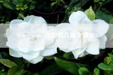 临沧中国的几块金牌2021