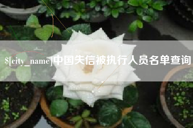 临沧中国失信被执行人员名单查询