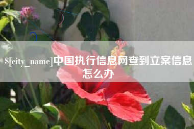 临沧中国执行信息网查到立案信息怎么办