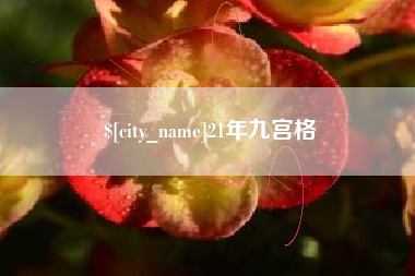 临沧21年九宫格