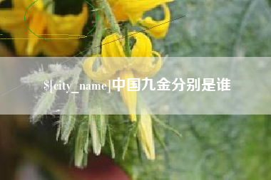 临沧中国九金分别是谁