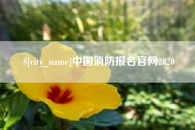 临沧中国消防报名官网2020