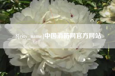 临沧中国消防网官方网站