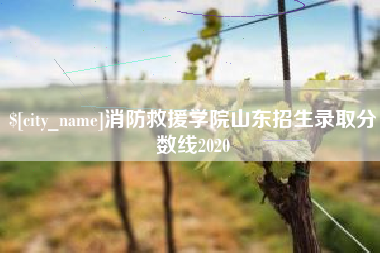 临沧消防救援学院山东招生录取分数线2020