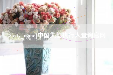 临沧中国失信执行人查询官网