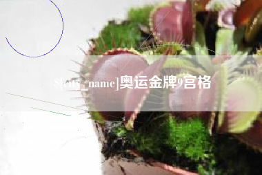 临沧奥运金牌9宫格